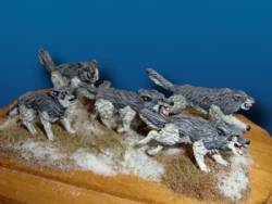 Grey Wolves (5)